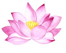 lotus flower